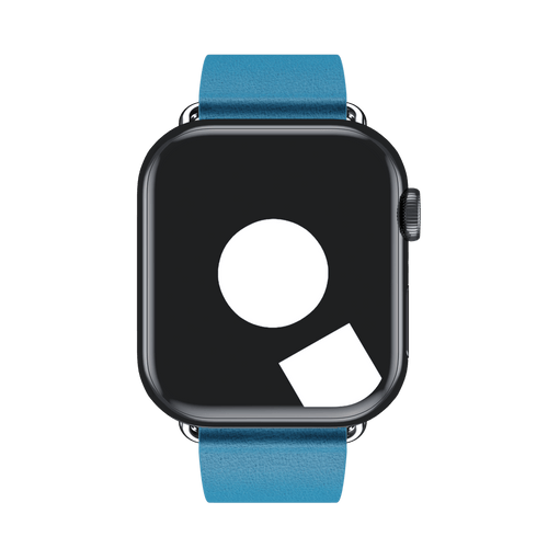 Blue Jay Modern Buckle for Apple Watch iSTRAP