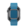 Blue Jay Modern Buckle for Apple Watch iSTRAP