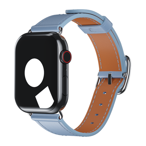 Frost Contemporary Buckle for Apple Watch