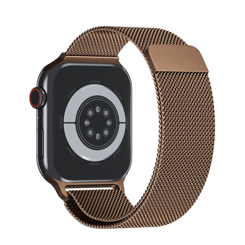 Milanese loop series 4 sales