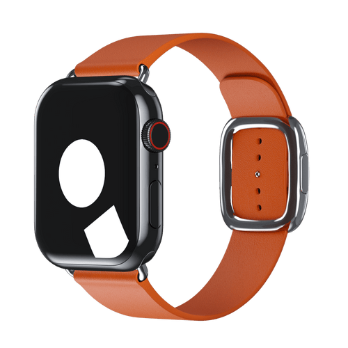 Sunset Modern Buckle for Apple Watch